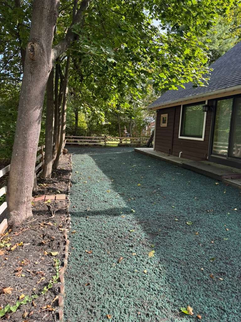 Hydroseeding service in Massachusetts — green hydroseed slurry applied to bare yard for fast lawn establishment by Limi Landscaping