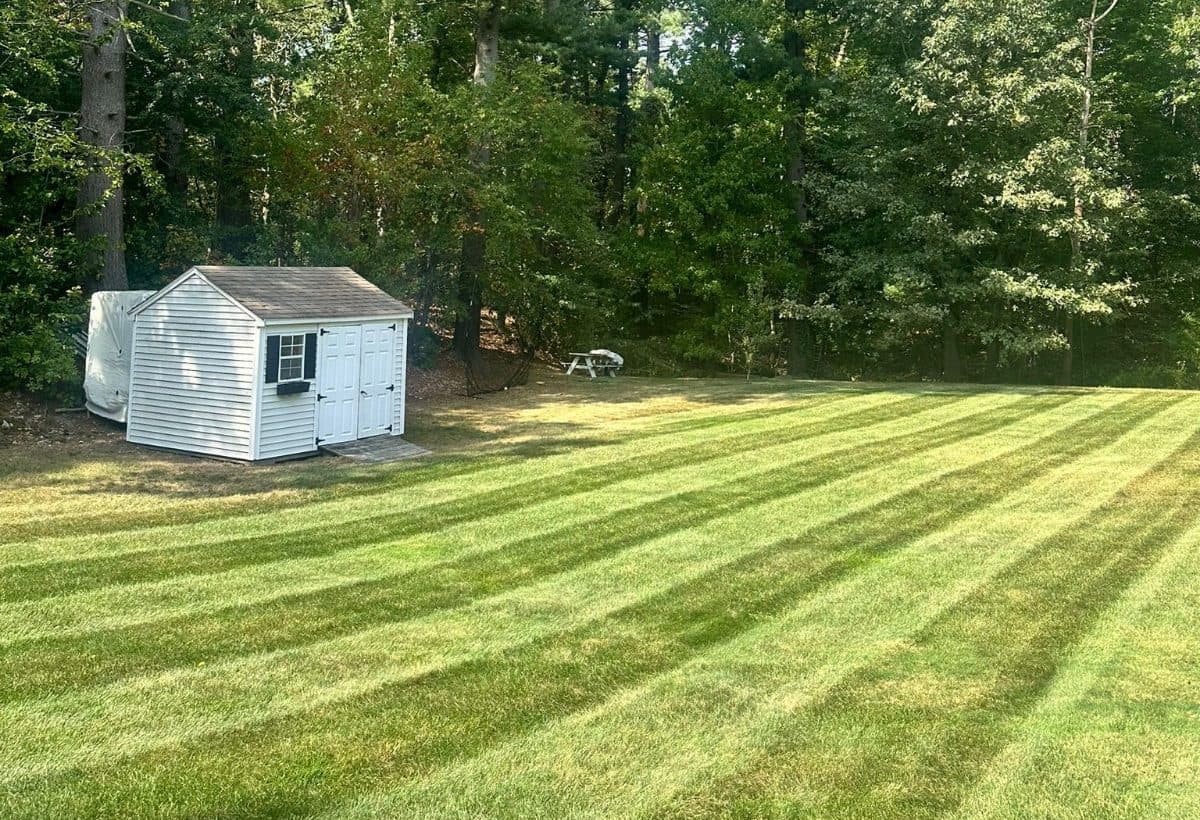 Weekly lawn mowing service — clean striped grass cut by Limi Landscaping crew in Massachusetts
