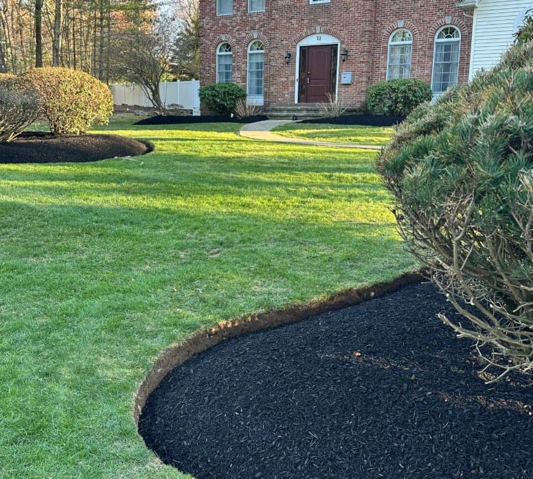 Mulching service in Massachusetts — fresh dark mulch installed in flower beds at a residential property by Limi Landscaping